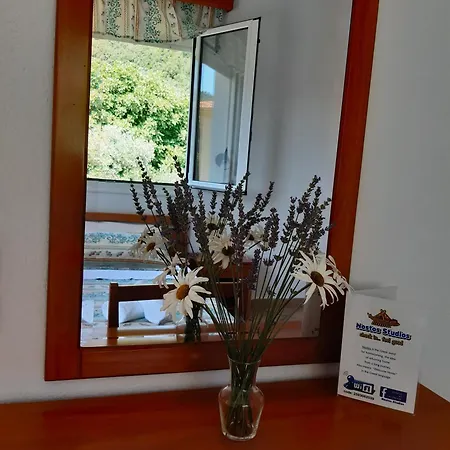 Nostos Golden כריסי אמודיה