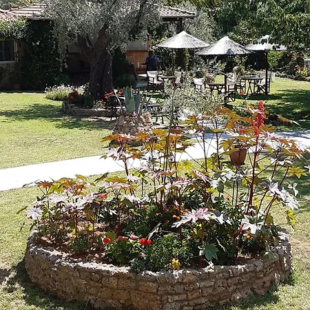 Nostos Golden כריסי אמודיה