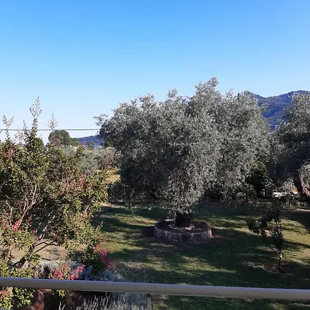Lejlighedshotel Nostos Golden
